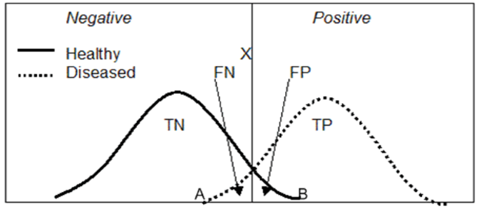 Question 10 Image